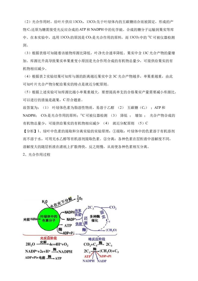 专题06光合作用（答案解析）_生物真题汇总_&radic;近三年（2023-2025）高考生物真题分专项精编_答案解析