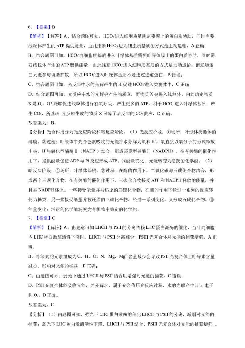 专题06光合作用（答案解析）_生物真题汇总_&radic;近三年（2023-2025）高考生物真题分专项精编_答案解析