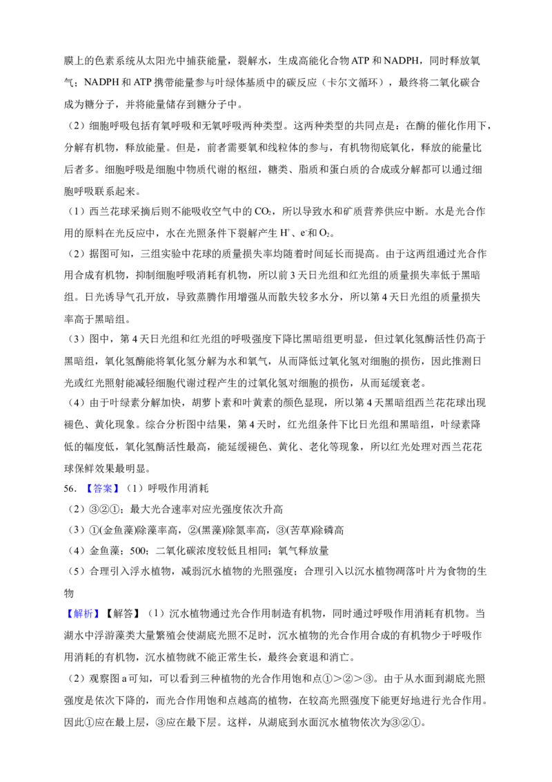 专题06光合作用（答案解析）_生物真题汇总_&radic;近三年（2023-2025）高考生物真题分专项精编_答案解析