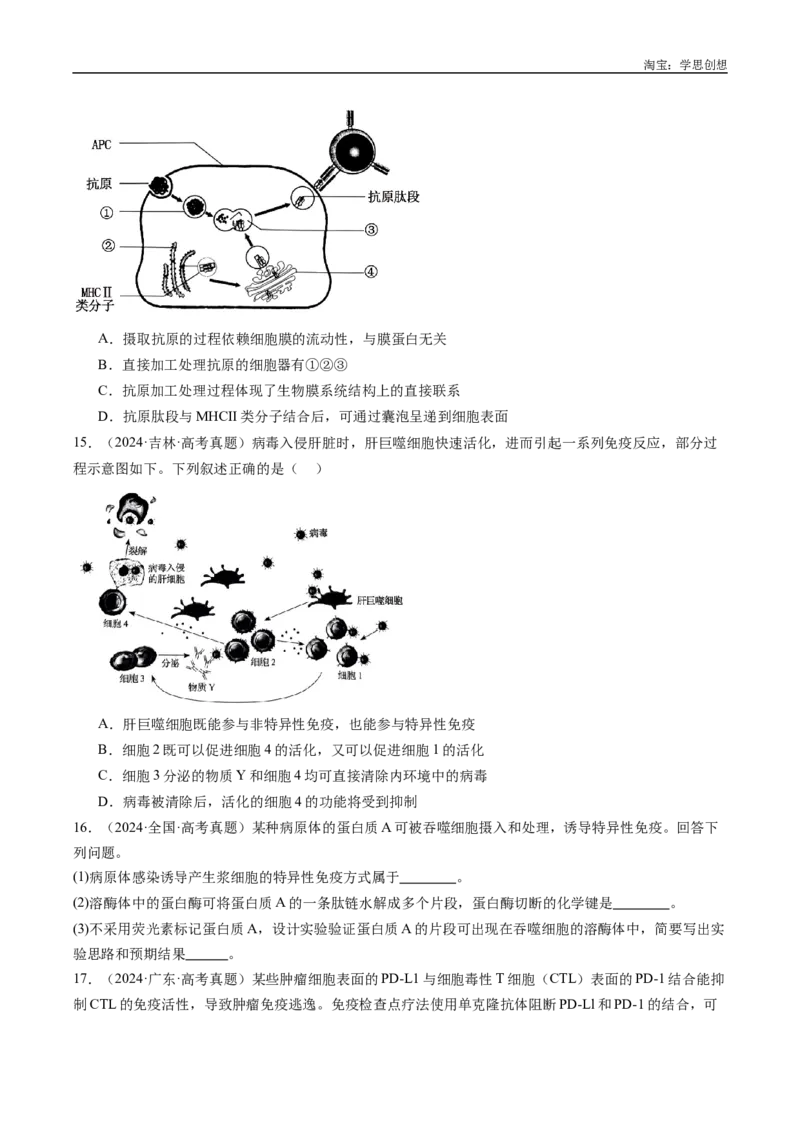专题20动物生命活动的调节-好题汇编十年（2015-2024）高考生物真题分类汇编（全国通用）（原卷版）_生物真题汇总_十年（2014-2024）高考生物真题分项汇编（全国通用）