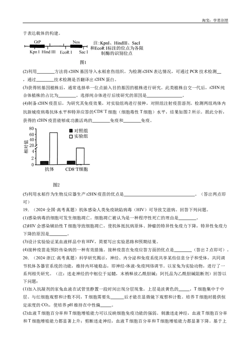 专题20动物生命活动的调节-好题汇编十年（2015-2024）高考生物真题分类汇编（全国通用）（原卷版）_生物真题汇总_十年（2014-2024）高考生物真题分项汇编（全国通用）
