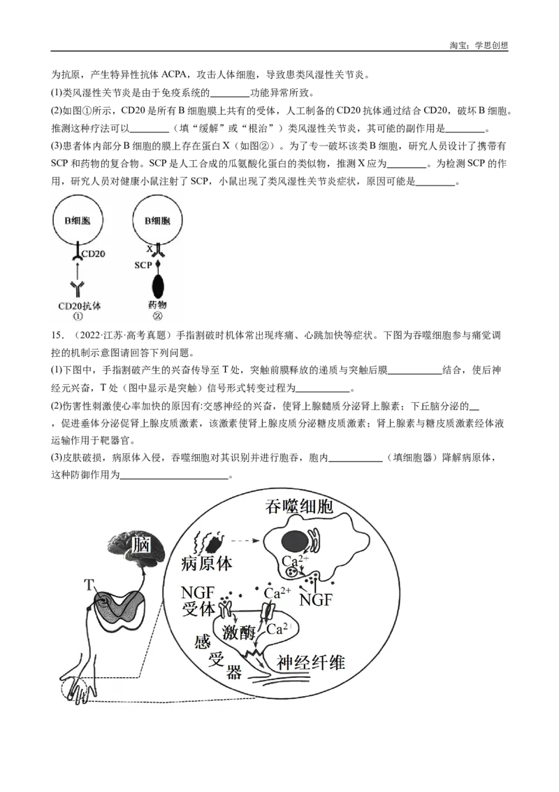 专题20动物生命活动的调节-好题汇编十年（2015-2024）高考生物真题分类汇编（全国通用）（原卷版）_生物真题汇总_十年（2014-2024）高考生物真题分项汇编（全国通用）