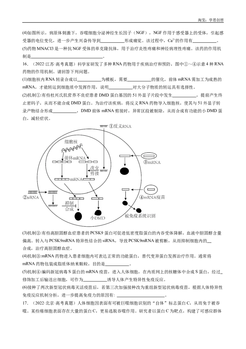 专题20动物生命活动的调节-好题汇编十年（2015-2024）高考生物真题分类汇编（全国通用）（原卷版）_生物真题汇总_十年（2014-2024）高考生物真题分项汇编（全国通用）