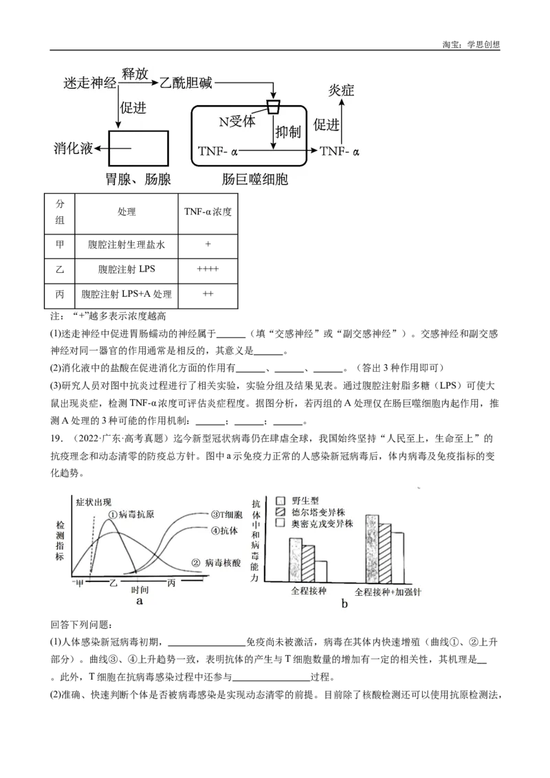 专题20动物生命活动的调节-好题汇编十年（2015-2024）高考生物真题分类汇编（全国通用）（原卷版）_生物真题汇总_十年（2014-2024）高考生物真题分项汇编（全国通用）