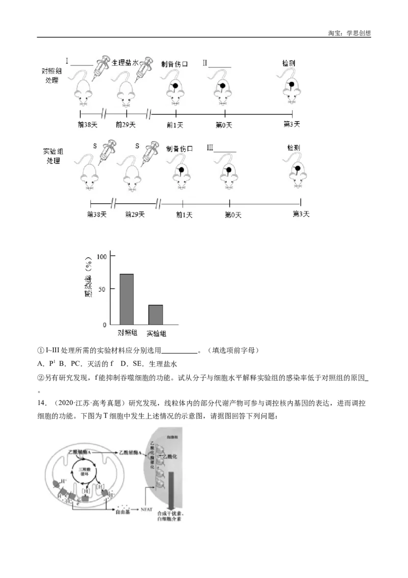 专题20动物生命活动的调节-好题汇编十年（2015-2024）高考生物真题分类汇编（全国通用）（原卷版）_生物真题汇总_十年（2014-2024）高考生物真题分项汇编（全国通用）
