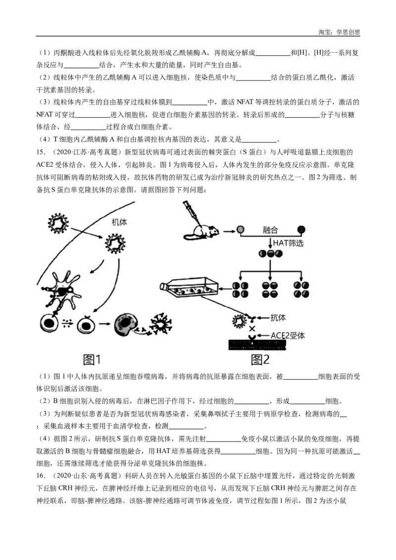 专题20动物生命活动的调节-好题汇编十年（2015-2024）高考生物真题分类汇编（全国通用）（原卷版）_生物真题汇总_十年（2014-2024）高考生物真题分项汇编（全国通用）