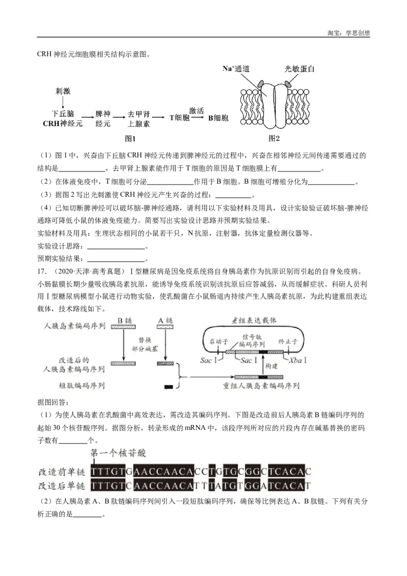 专题20动物生命活动的调节-好题汇编十年（2015-2024）高考生物真题分类汇编（全国通用）（原卷版）_生物真题汇总_十年（2014-2024）高考生物真题分项汇编（全国通用）