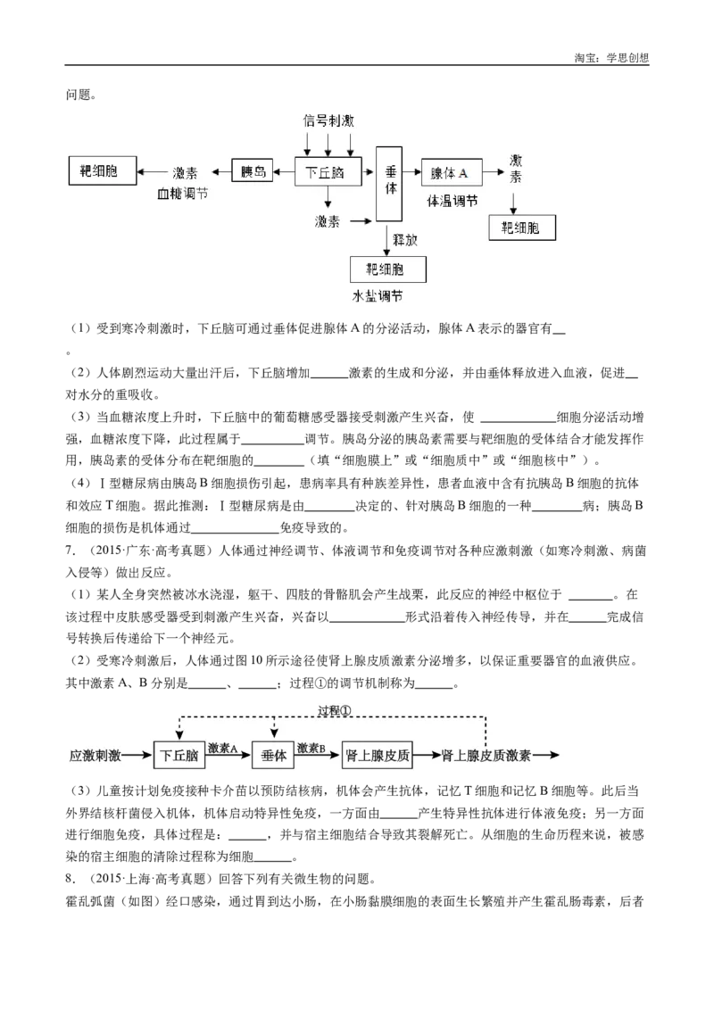 专题20动物生命活动的调节-好题汇编十年（2015-2024）高考生物真题分类汇编（全国通用）（原卷版）_生物真题汇总_十年（2014-2024）高考生物真题分项汇编（全国通用）
