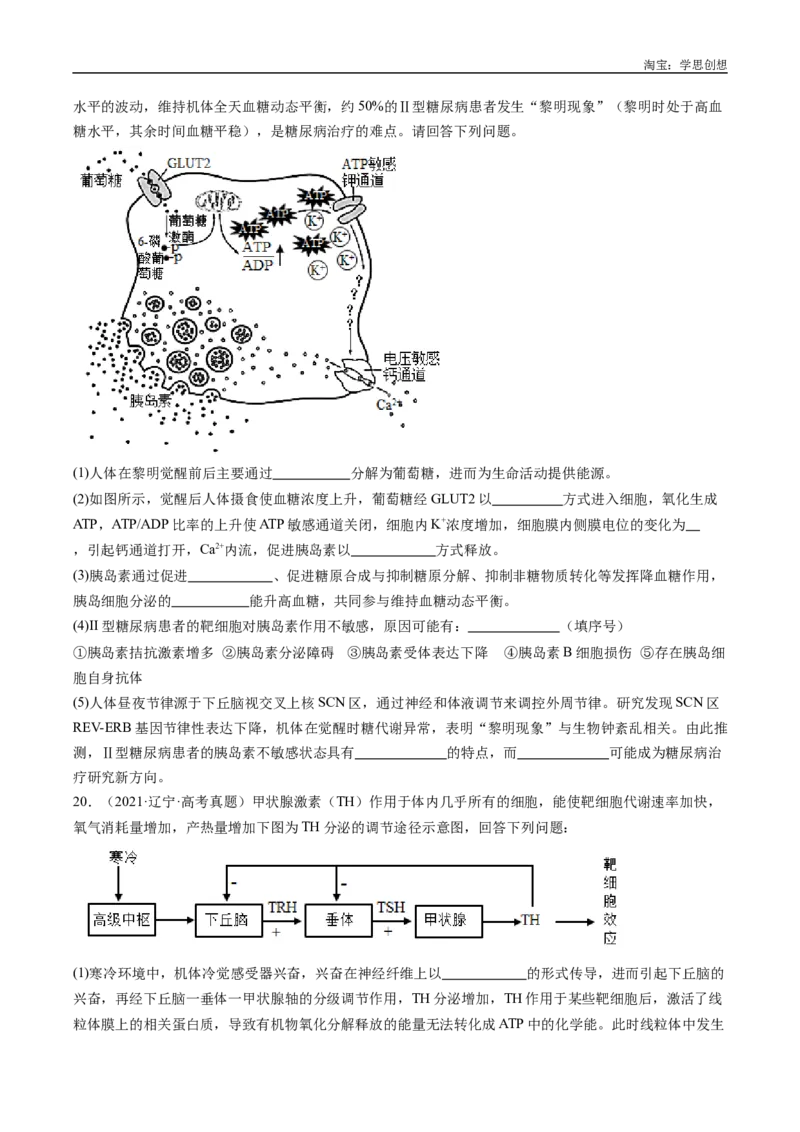 专题20动物生命活动的调节-好题汇编十年（2015-2024）高考生物真题分类汇编（全国通用）（原卷版）_生物真题汇总_十年（2014-2024）高考生物真题分项汇编（全国通用）