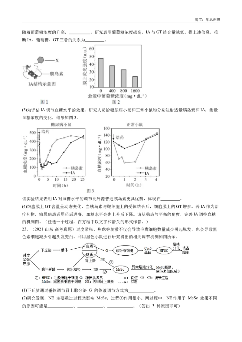 专题20动物生命活动的调节-好题汇编十年（2015-2024）高考生物真题分类汇编（全国通用）（原卷版）_生物真题汇总_十年（2014-2024）高考生物真题分项汇编（全国通用）