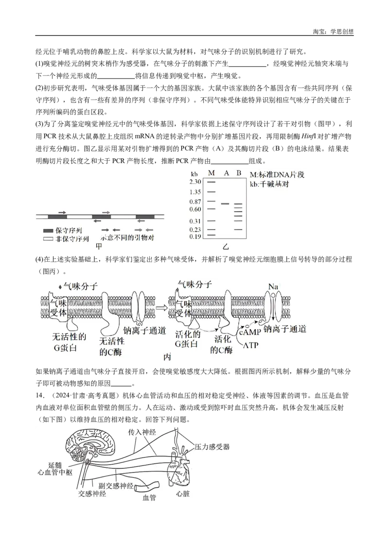 专题20动物生命活动的调节-好题汇编十年（2015-2024）高考生物真题分类汇编（全国通用）（原卷版）_生物真题汇总_十年（2014-2024）高考生物真题分项汇编（全国通用）