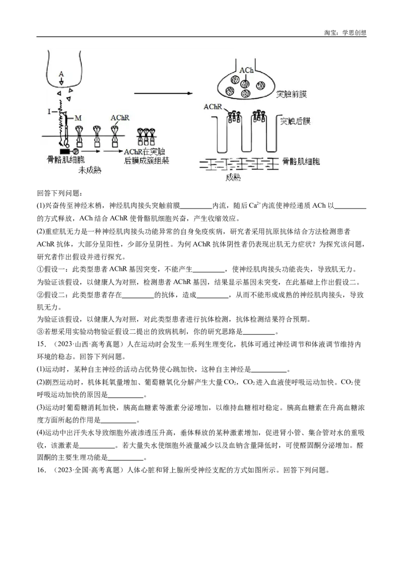 专题20动物生命活动的调节-好题汇编十年（2015-2024）高考生物真题分类汇编（全国通用）（原卷版）_生物真题汇总_十年（2014-2024）高考生物真题分项汇编（全国通用）