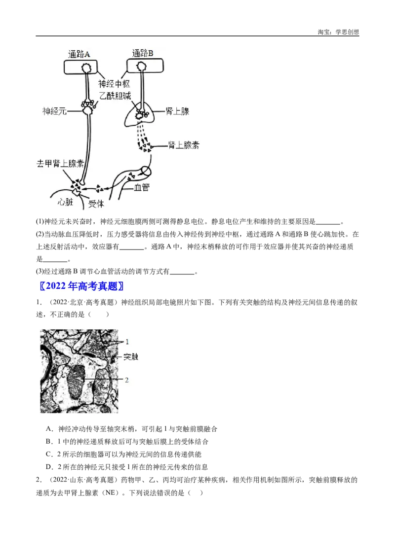 专题20动物生命活动的调节-好题汇编十年（2015-2024）高考生物真题分类汇编（全国通用）（原卷版）_生物真题汇总_十年（2014-2024）高考生物真题分项汇编（全国通用）