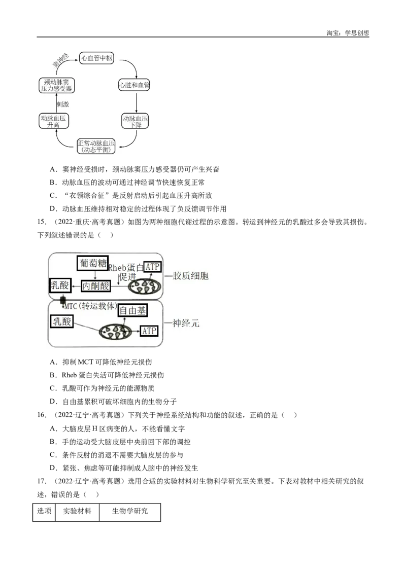 专题20动物生命活动的调节-好题汇编十年（2015-2024）高考生物真题分类汇编（全国通用）（原卷版）_生物真题汇总_十年（2014-2024）高考生物真题分项汇编（全国通用）