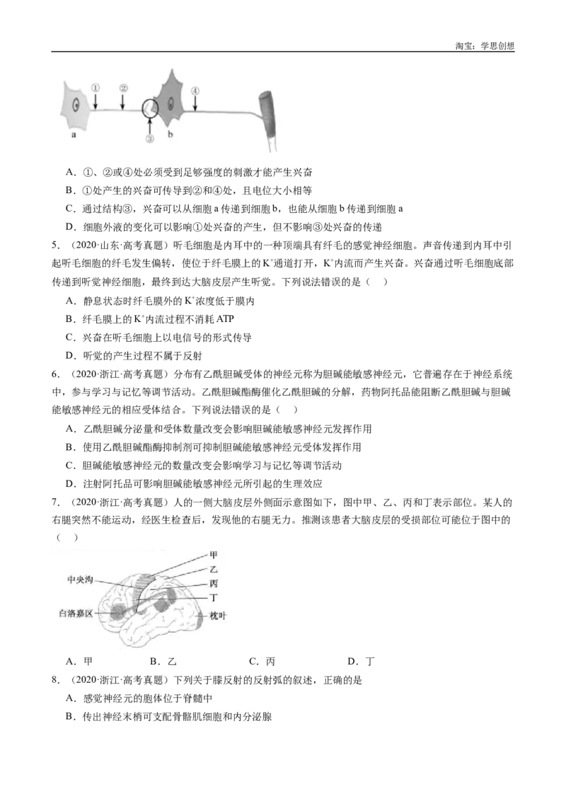 专题20动物生命活动的调节-好题汇编十年（2015-2024）高考生物真题分类汇编（全国通用）（原卷版）_生物真题汇总_十年（2014-2024）高考生物真题分项汇编（全国通用）