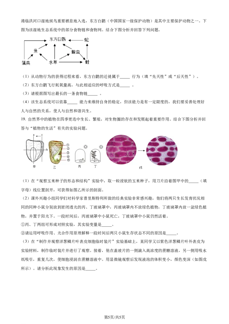 2024年江苏省连云港市中考生物真题（原卷版）_江苏省中考_01江苏省13市中考历年真题2008-2025新_、中考全套_江苏省中考历年真题_江苏中考生物(2010年-2024年）