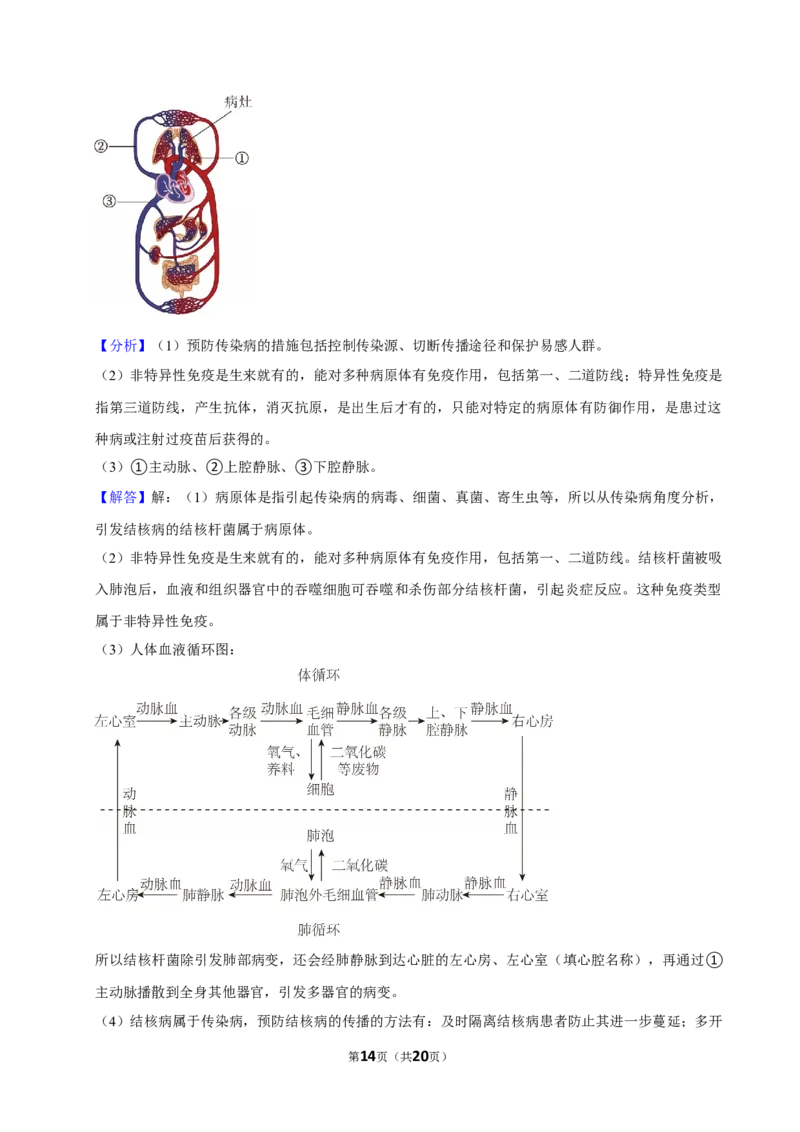 2024年江苏省徐州市中考生物试卷_江苏省中考_01江苏省13市中考历年真题2008-2025新_、中考全套_江苏省中考历年真题_江苏中考生物(2010年-2024年）