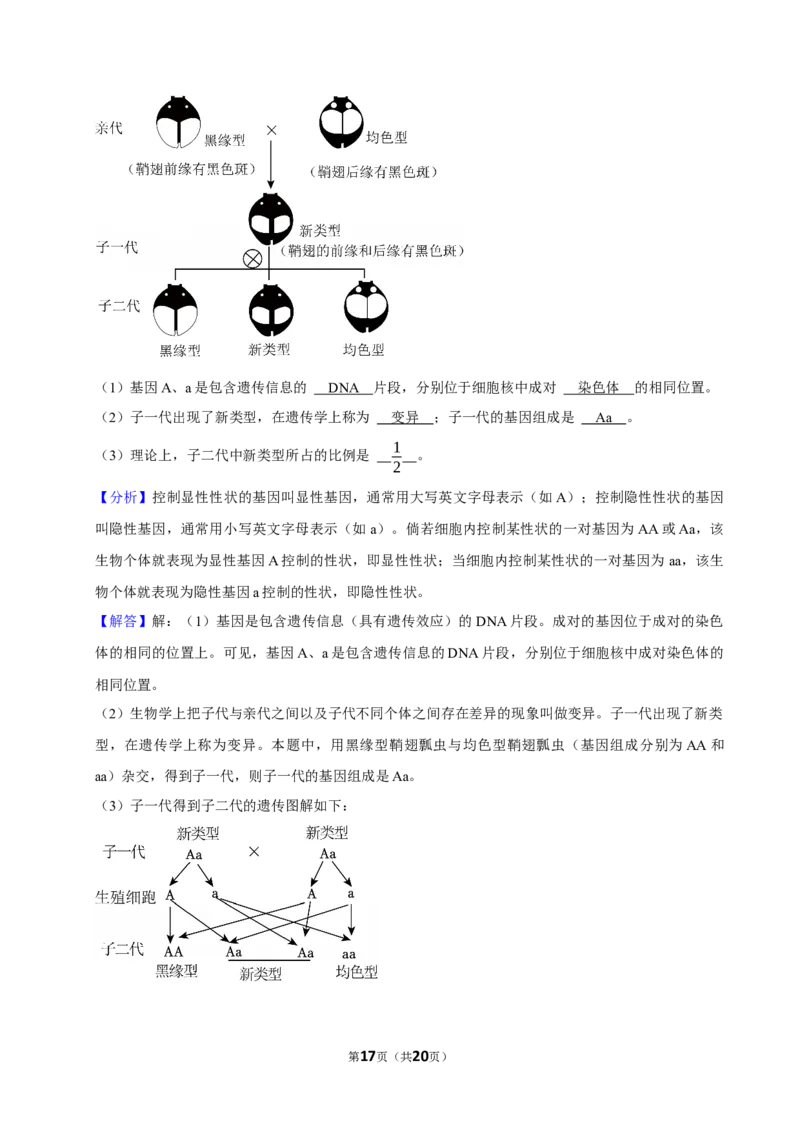 2024年江苏省徐州市中考生物试卷_江苏省中考_01江苏省13市中考历年真题2008-2025新_、中考全套_江苏省中考历年真题_江苏中考生物(2010年-2024年）
