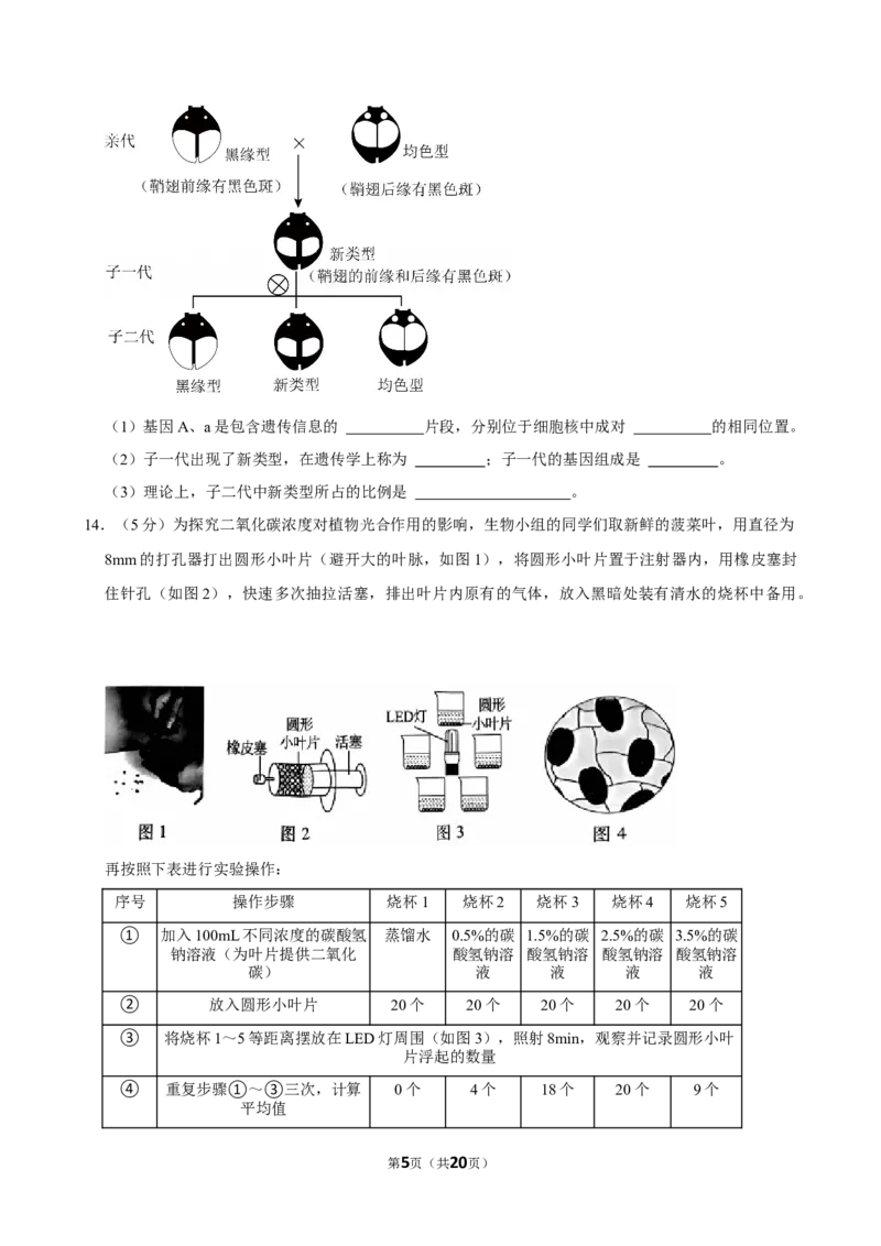 2024年江苏省徐州市中考生物试卷_江苏省中考_01江苏省13市中考历年真题2008-2025新_、中考全套_江苏省中考历年真题_江苏中考生物(2010年-2024年）