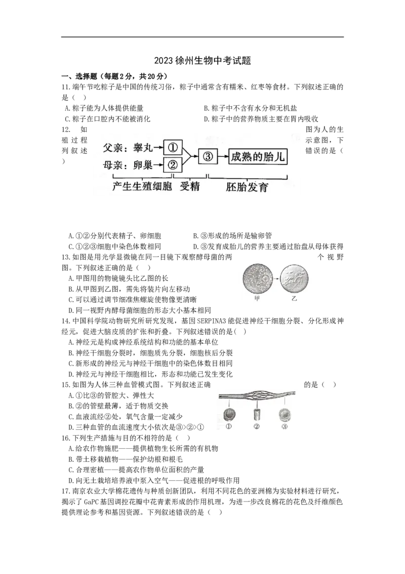 2023年江苏省徐州市中考生物真题_41766248_江苏省中考_01江苏省13市中考历年真题2008-2025新_、中考全套_江苏省中考历年真题_江苏中考生物(2010年-2024年）