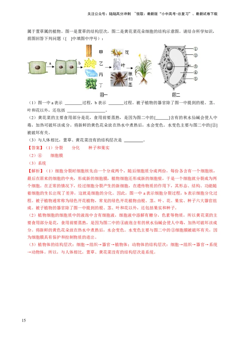 专题01生物体的结构层次（解析版）_02中考总复习（2026版更新中）_08-生物-中考总复习_2024年中考复习资料_专项复习_备战2024年中考生物真题题源解密