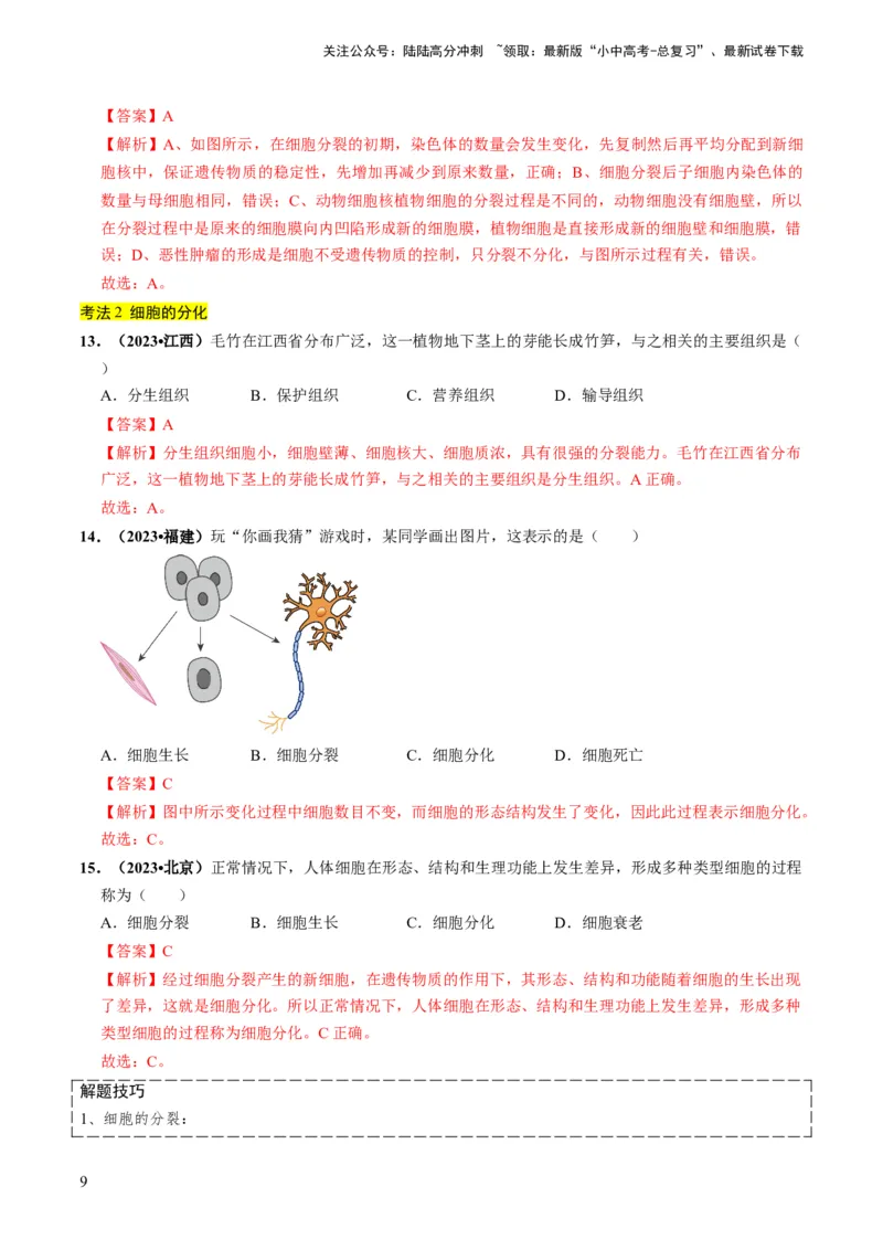 专题01生物体的结构层次（解析版）_02中考总复习（2026版更新中）_08-生物-中考总复习_2024年中考复习资料_专项复习_备战2024年中考生物真题题源解密