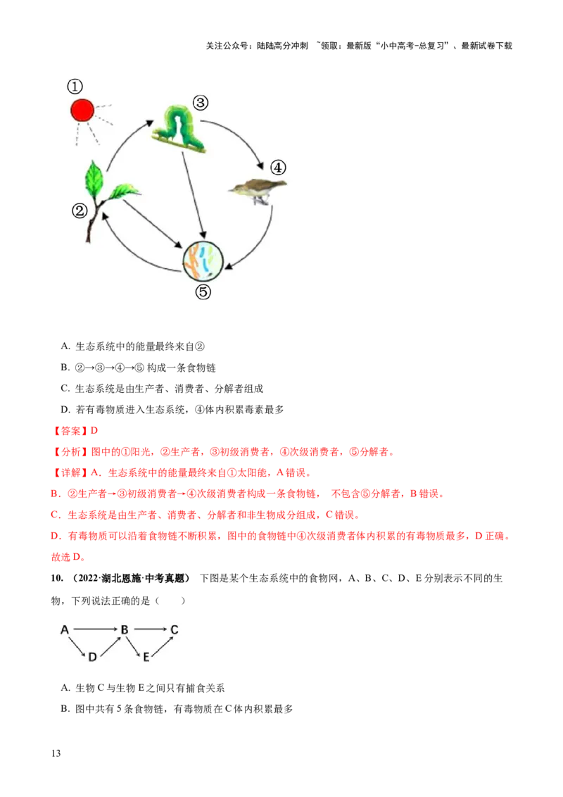 专题01生物和生物圈（练习）（解析版）_02中考总复习（2026版更新中）_08-生物-中考总复习_2024年中考复习资料_一轮复习_❤2024年中考生物一轮复习讲练测（全国通用）_练习
