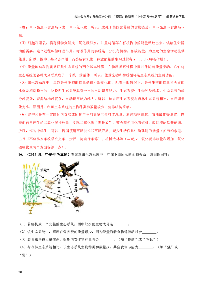 专题01生物和生物圈（练习）（解析版）_02中考总复习（2026版更新中）_08-生物-中考总复习_2024年中考复习资料_一轮复习_❤2024年中考生物一轮复习讲练测（全国通用）_练习