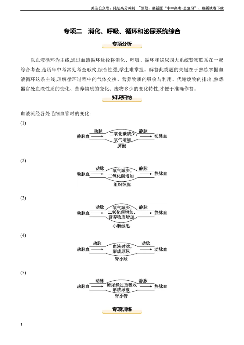 专项02　消化、呼吸、循环和泌尿系统综合2025年中考生物学专题复习（含答案）_02中考总复习（2026版更新中）_08-生物-中考总复习_2025中考复习资料