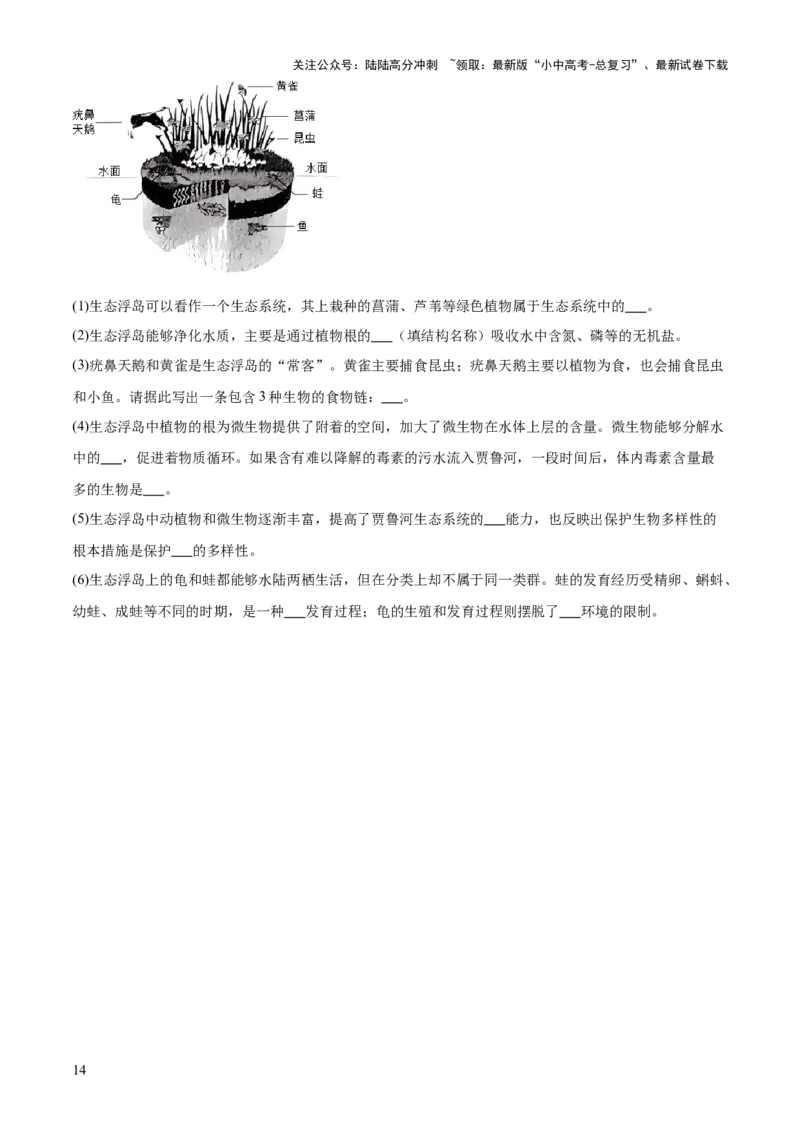 专题01生物与环境（2大模板）（原卷版）_02中考总复习（2026版更新中）_08-生物-中考总复习_2025中考复习资料_2025年中考生物答题方法模板