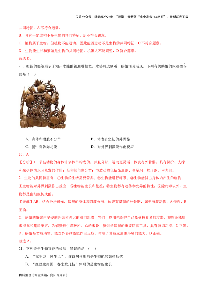 专题01认识生物、生物与环境的关系（解析版）_02中考总复习（2026版更新中）_08-生物-中考总复习_2024年中考复习资料_一轮复习_配套练习_教师版（含答案解析）