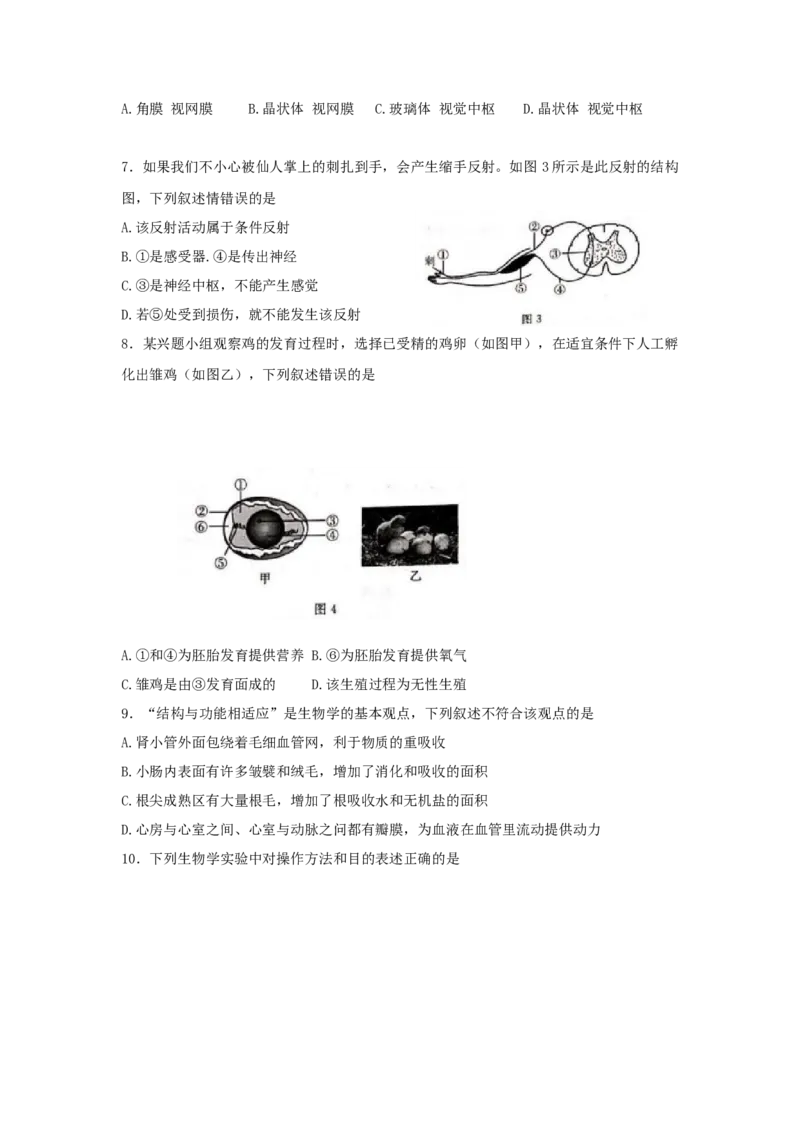 2021年江苏省徐州市中考生物试题及解析_江苏省中考_01江苏省13市中考历年真题2008-2025新_、中考全套_江苏省中考历年真题_江苏中考生物(2010年-2024年）