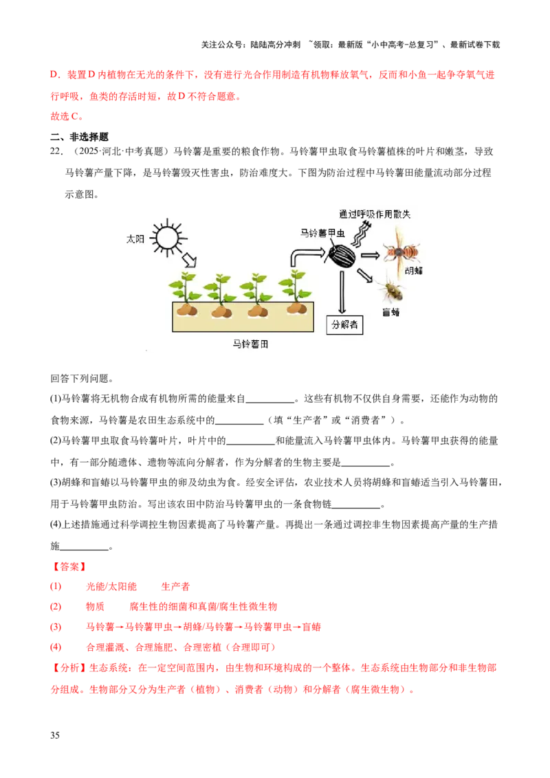 专题01生物与环境（全国通用）（解析版）_02中考总复习（2026版更新中）_08-生物-中考总复习_2026年中考复习（更新中）_好题汇编三年（2023-2025）中考生物真题分类汇编（全国通用）
