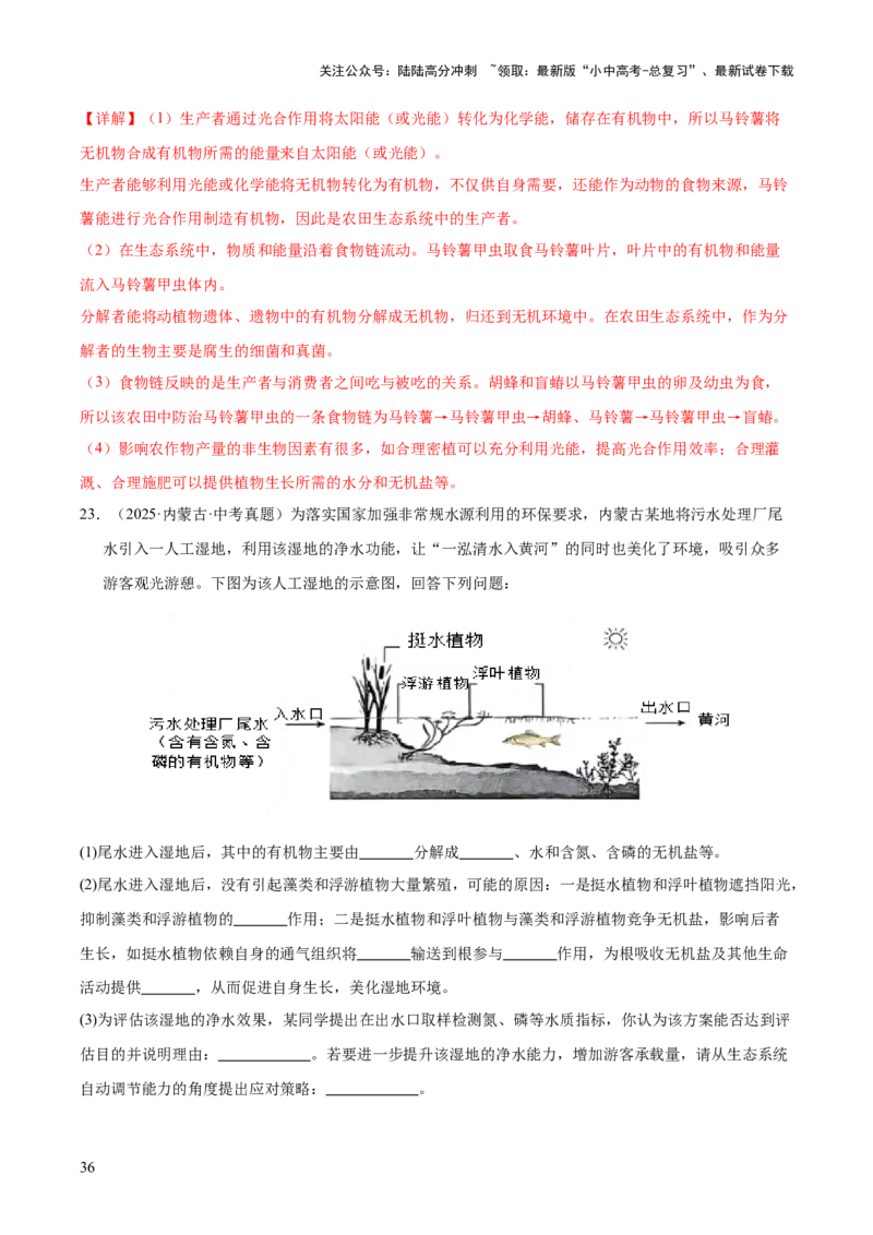 专题01生物与环境（全国通用）（解析版）_02中考总复习（2026版更新中）_08-生物-中考总复习_2026年中考复习（更新中）_好题汇编三年（2023-2025）中考生物真题分类汇编（全国通用）