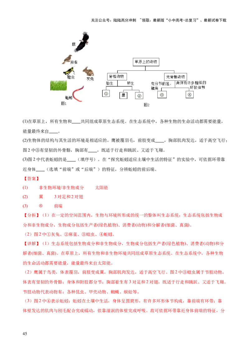 专题01生物与环境（全国通用）（解析版）_02中考总复习（2026版更新中）_08-生物-中考总复习_2026年中考复习（更新中）_好题汇编三年（2023-2025）中考生物真题分类汇编（全国通用）