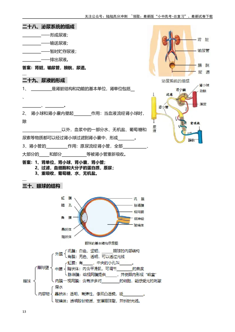 ❤初中生物重要识图填空速记50个_02中考总复习（2026版更新中）_08-生物-中考总复习_2024年中考复习资料_专项复习