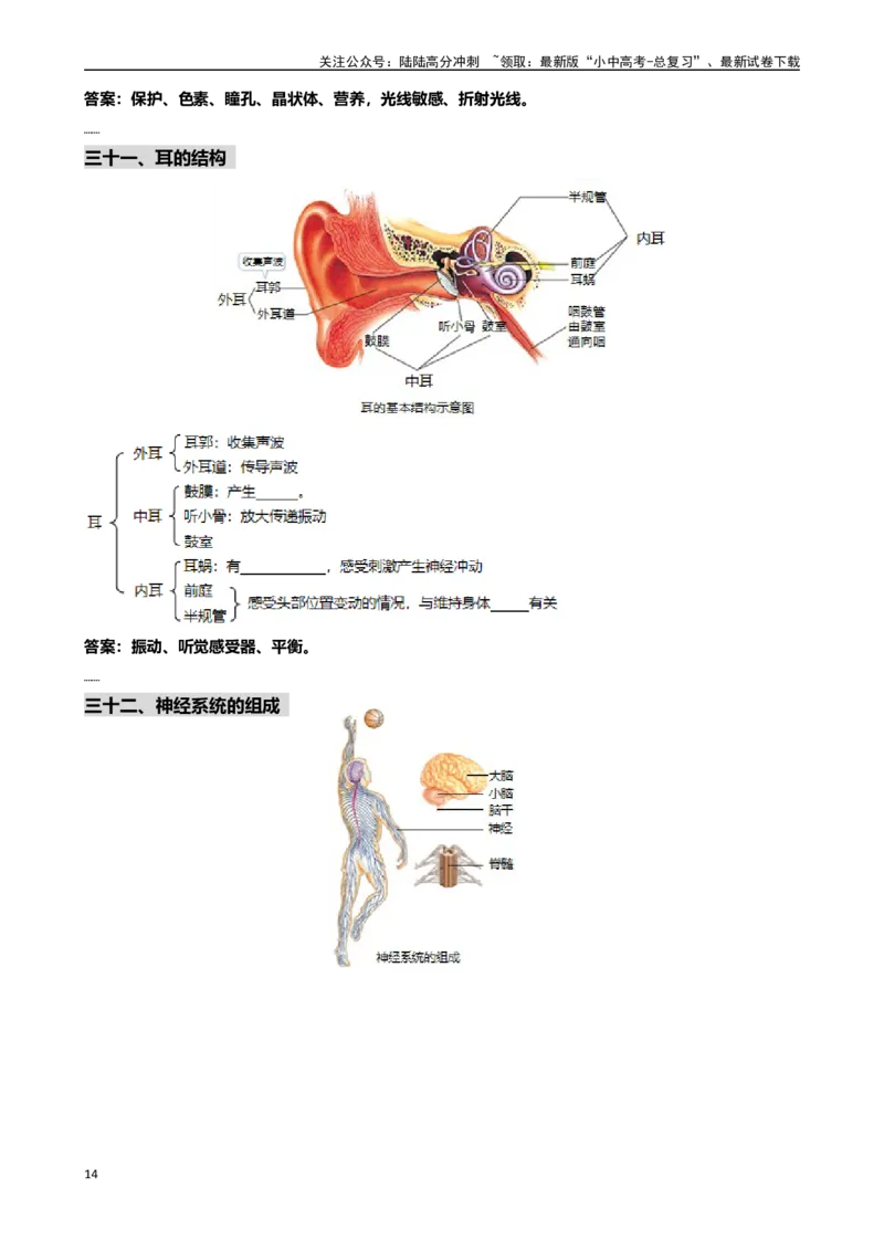 ❤初中生物重要识图填空速记50个_02中考总复习（2026版更新中）_08-生物-中考总复习_2024年中考复习资料_专项复习