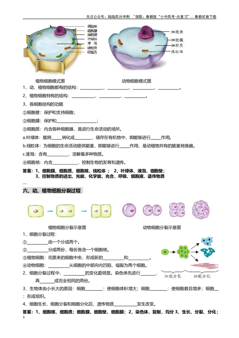 ❤初中生物重要识图填空速记50个_02中考总复习（2026版更新中）_08-生物-中考总复习_2024年中考复习资料_专项复习
