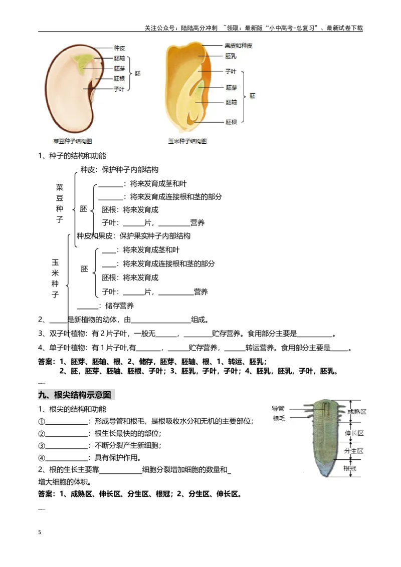 ❤初中生物重要识图填空速记50个_02中考总复习（2026版更新中）_08-生物-中考总复习_2024年中考复习资料_专项复习