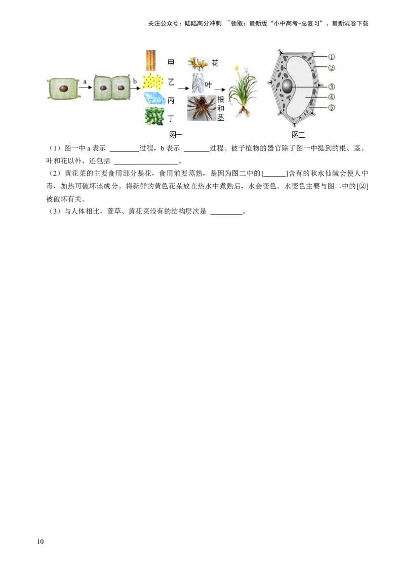 专题01生物体的结构层次（原卷版）_02中考总复习（2026版更新中）_08-生物-中考总复习_2024年中考复习资料_专项复习_备战2024年中考生物真题题源解密