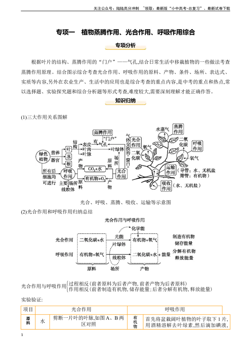 专项01　植物蒸腾作用、光合作用、呼吸作用综合2025年中考生物学专题复习（含答案）_02中考总复习（2026版更新中）_08-生物-中考总复习_2025中考复习资料