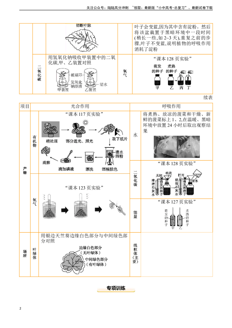 专项01　植物蒸腾作用、光合作用、呼吸作用综合2025年中考生物学专题复习（含答案）_02中考总复习（2026版更新中）_08-生物-中考总复习_2025中考复习资料