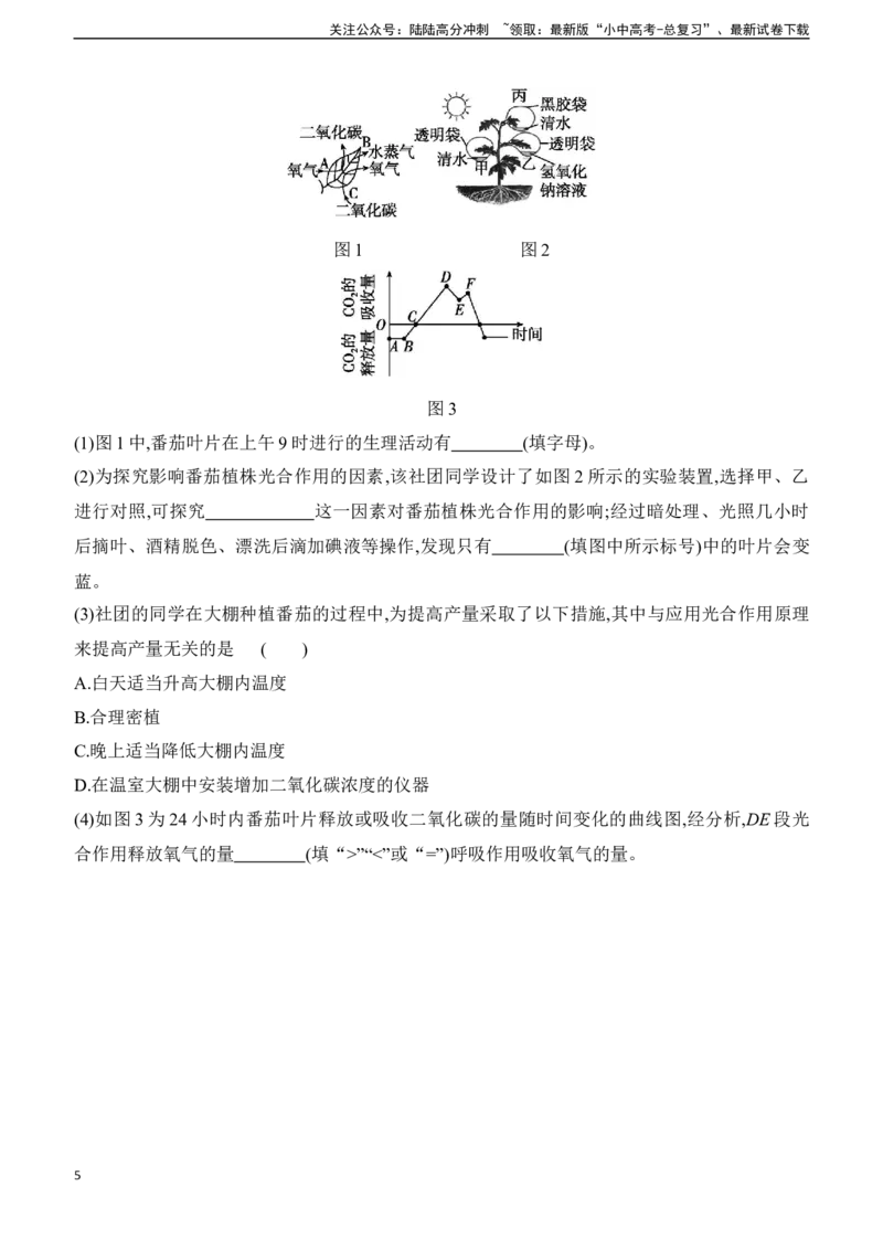 专项01　植物蒸腾作用、光合作用、呼吸作用综合2025年中考生物学专题复习（含答案）_02中考总复习（2026版更新中）_08-生物-中考总复习_2025中考复习资料