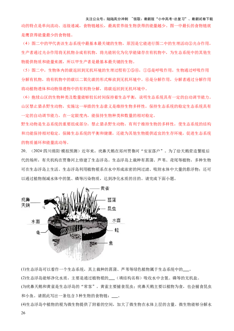 专题01生物与环境（2大模板）（解析版）_02中考总复习（2026版更新中）_08-生物-中考总复习_2025中考复习资料_2025年中考生物答题方法模板