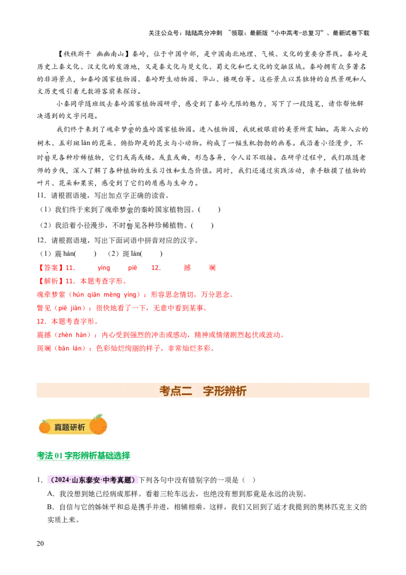 专题01汉字（字音、字形）（讲练）（解析版）_02中考总复习（2026版更新中）_01-语文-中考总复习_2025年中考资料_2025中考二轮课件ppt+讲义+练习语文_讲义练习