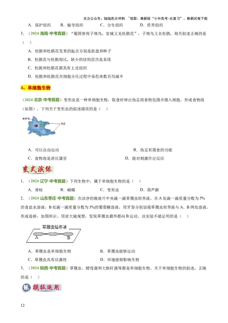 专题02生物体的结构层次（2大模板）（原卷版）_02中考总复习（2026版更新中）_08-生物-中考总复习_2025中考复习资料_2025年中考生物答题方法模板