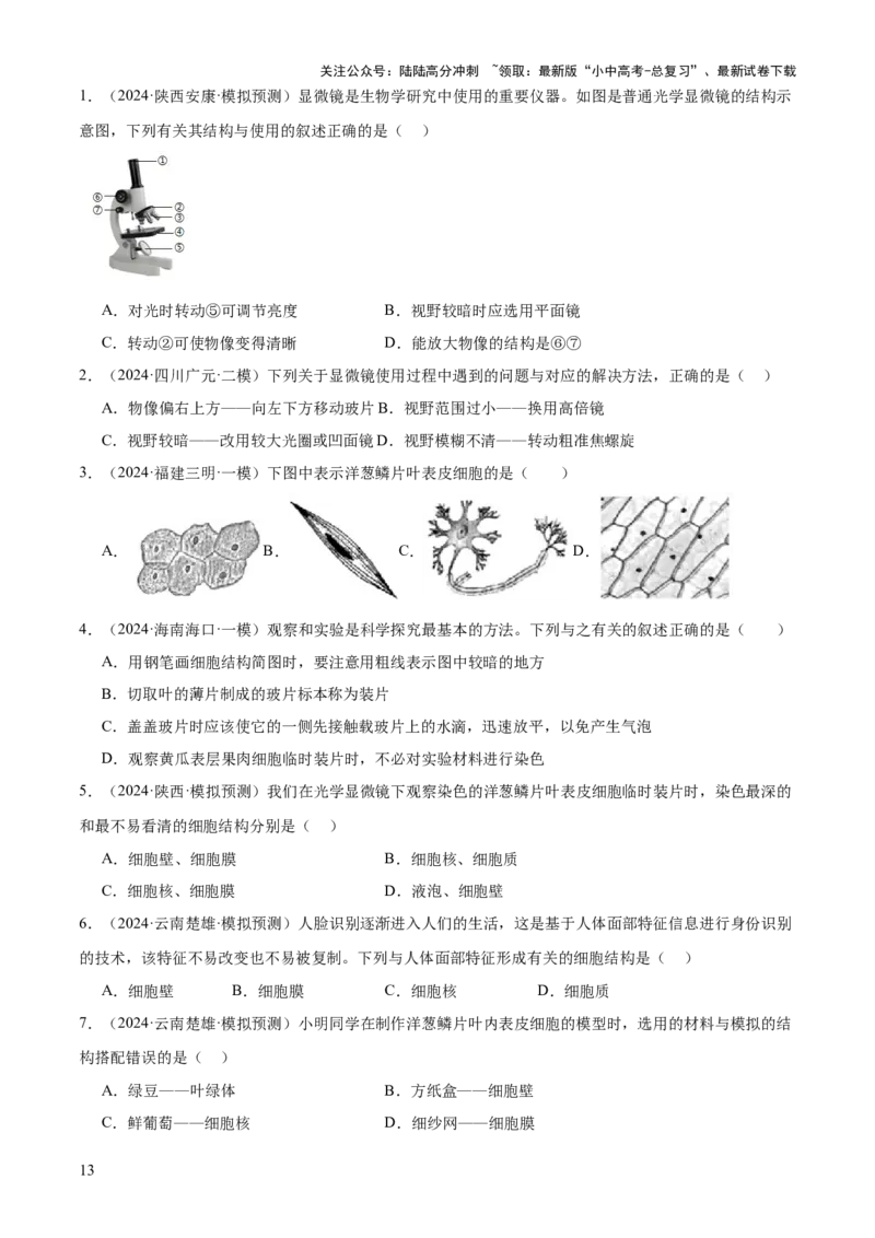 专题02生物体的结构层次（2大模板）（原卷版）_02中考总复习（2026版更新中）_08-生物-中考总复习_2025中考复习资料_2025年中考生物答题方法模板