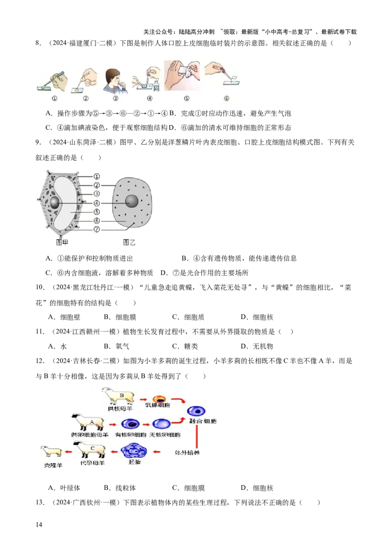 专题02生物体的结构层次（2大模板）（原卷版）_02中考总复习（2026版更新中）_08-生物-中考总复习_2025中考复习资料_2025年中考生物答题方法模板