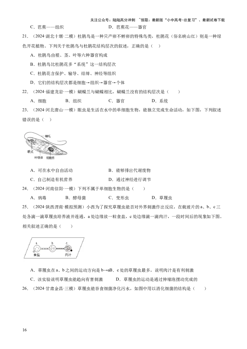 专题02生物体的结构层次（2大模板）（原卷版）_02中考总复习（2026版更新中）_08-生物-中考总复习_2025中考复习资料_2025年中考生物答题方法模板