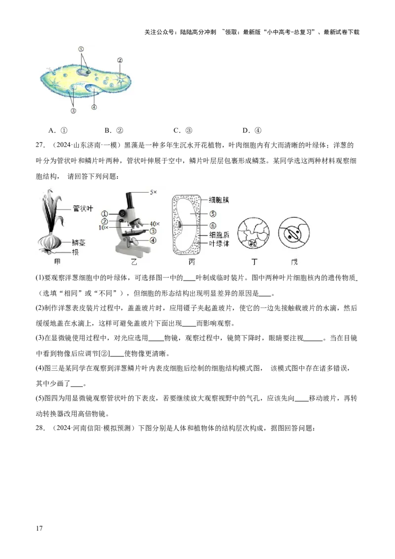 专题02生物体的结构层次（2大模板）（原卷版）_02中考总复习（2026版更新中）_08-生物-中考总复习_2025中考复习资料_2025年中考生物答题方法模板